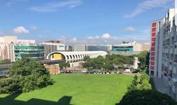 Blk 247 Tampines Street 21 (Tampines), HDB 4 Rooms #223263141